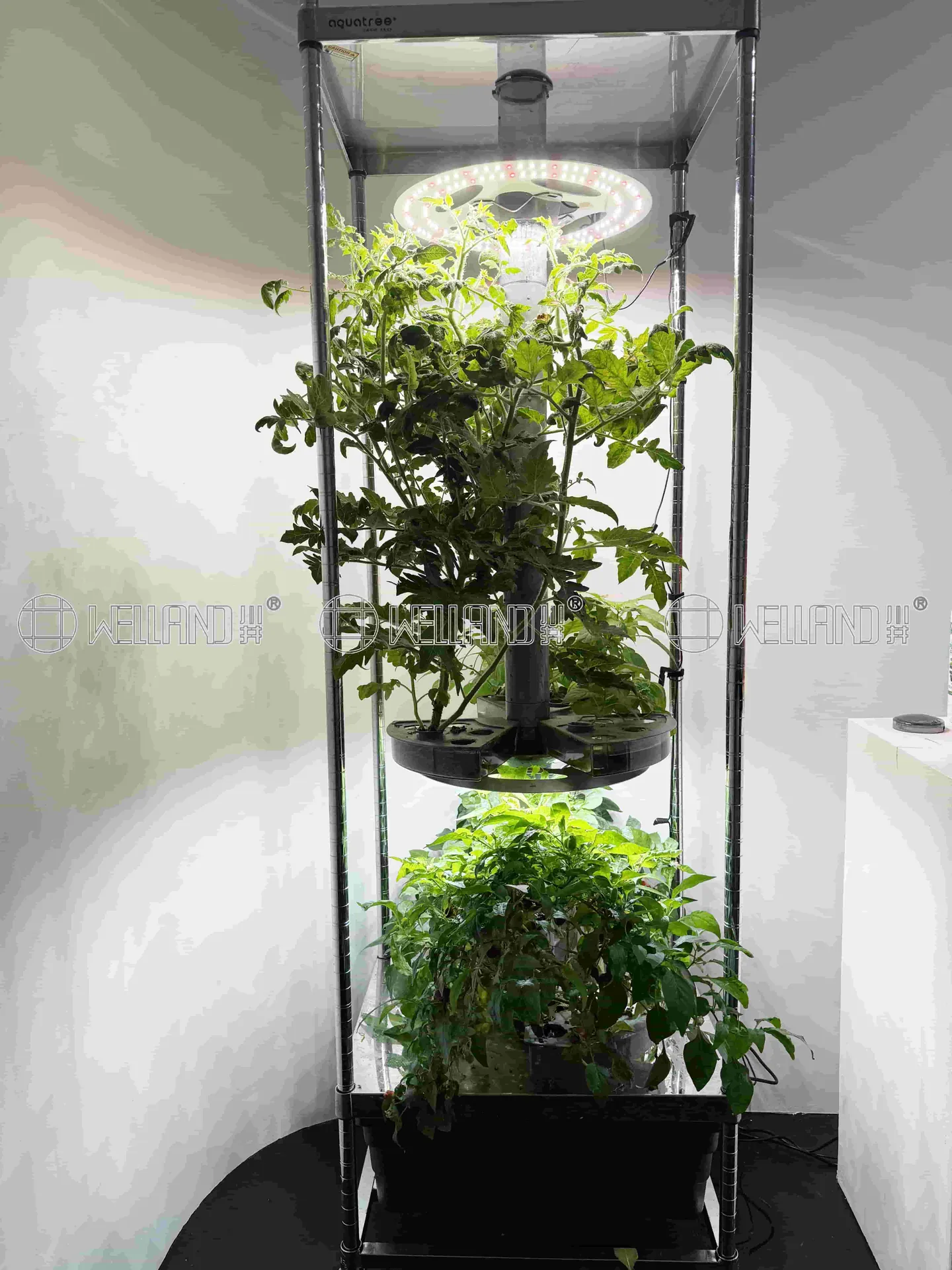 Indoor Seed Starting Microgreens Shelving Hot House Shelving (4)